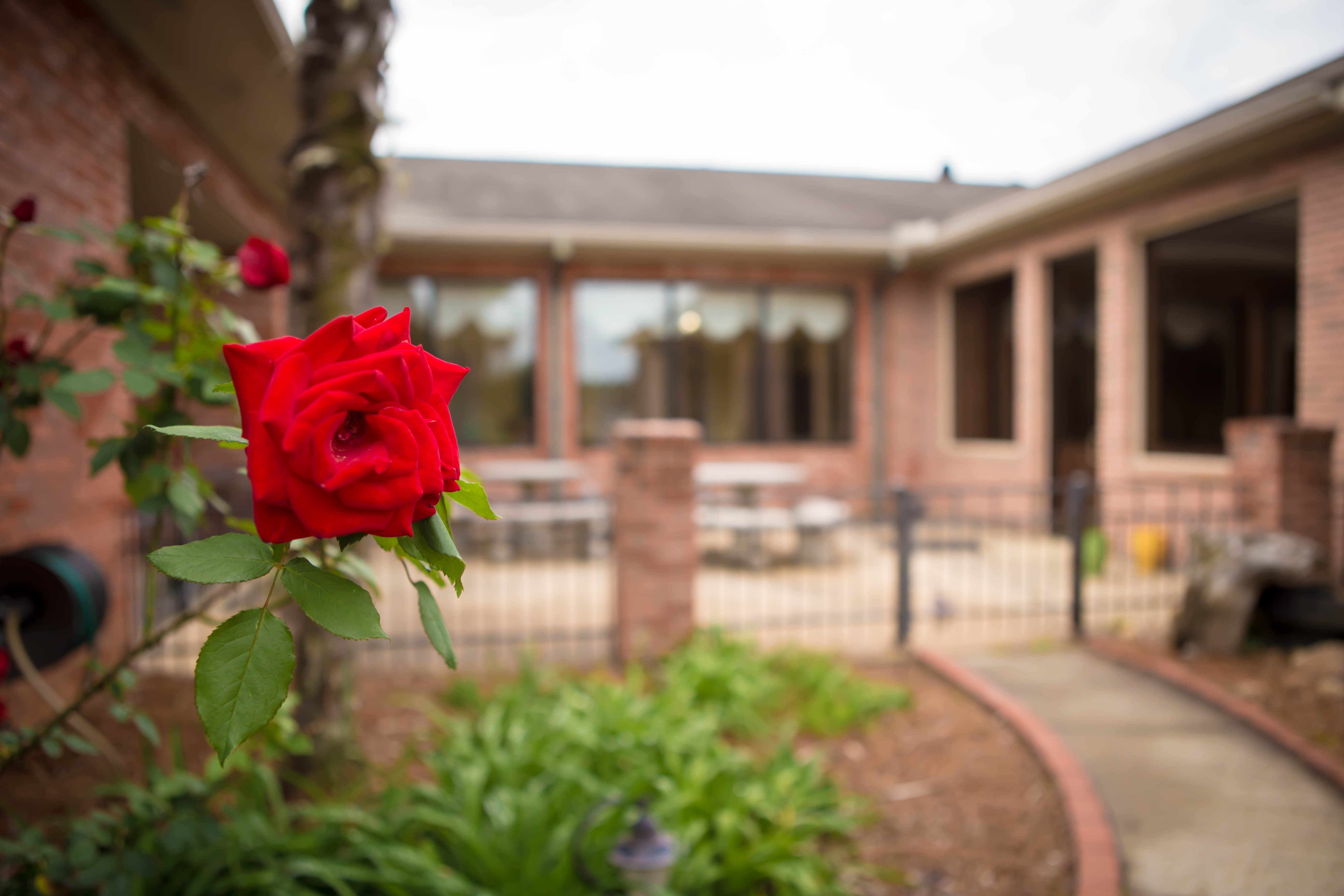 Inpatient care at The Grove